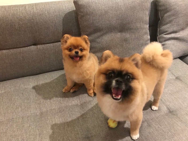 Фото рієлтора