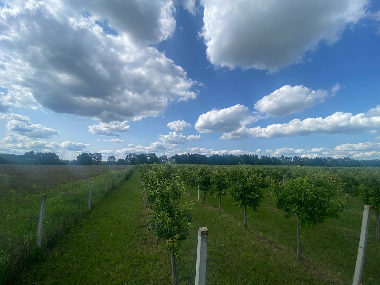 Фото нерухомості